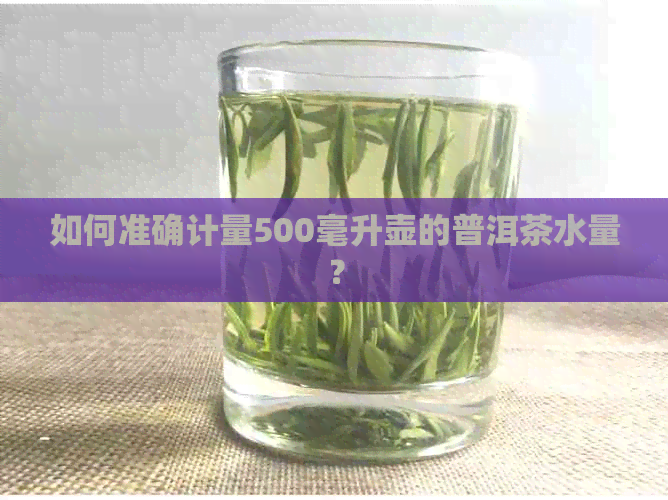 如何准确计量500毫升壶的普洱茶水量？