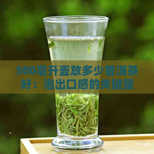 500毫升壶放多少普洱茶好：泡出口感的关键量