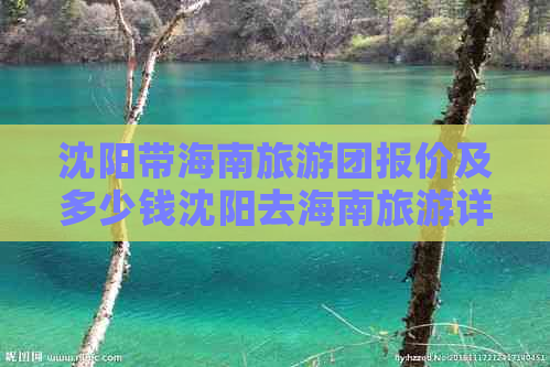 沈阳带海南旅游团报价及多少钱沈阳去海南旅游详情