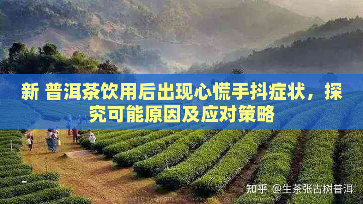 新 普洱茶饮用后出现心慌手抖症状，探究可能原因及应对策略