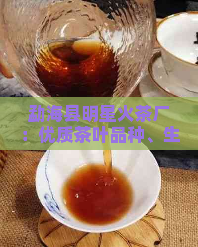 勐海县明星火茶厂：优质茶叶品种、生产工艺与品质保证一应俱全