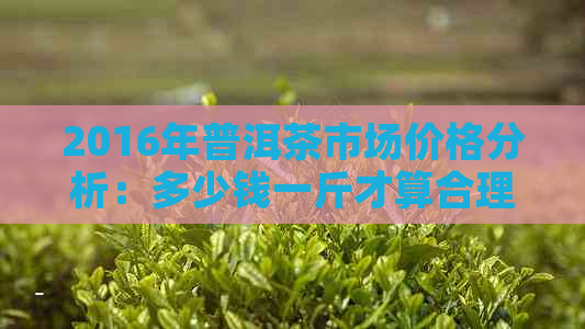 2016年普洱茶市场价格分析：多少钱一斤才算合理？