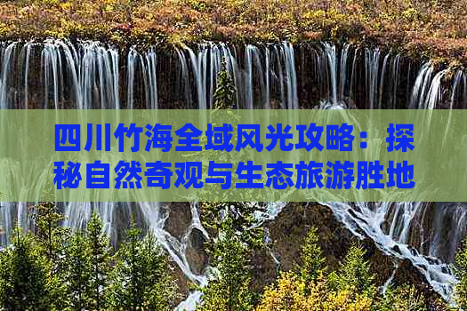 四川竹海全域风光攻略：探秘自然奇观与生态旅游胜地