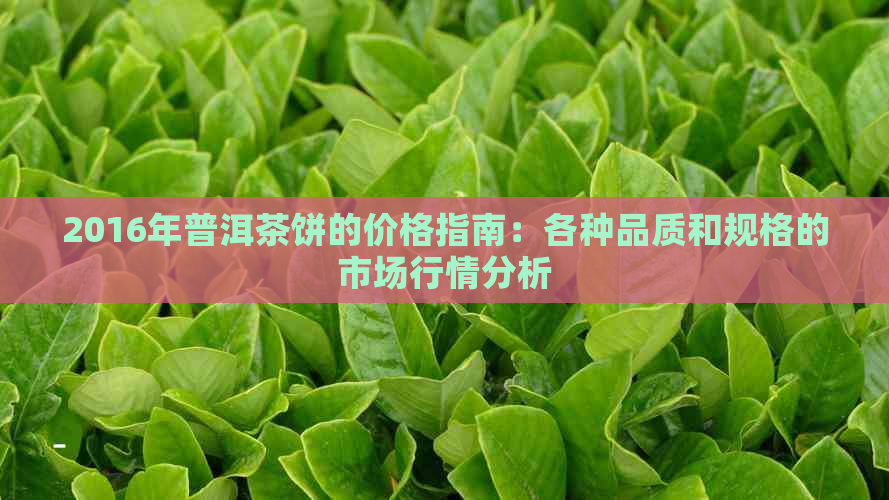 2016年普洱茶饼的价格指南：各种品质和规格的市场行情分析