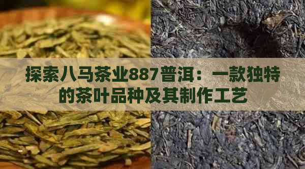 探索八马茶业887普洱：一款独特的茶叶品种及其制作工艺