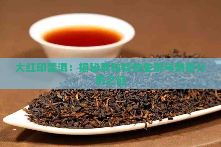 大红印普洱：揭秘其独特的生茶与熟茶分类之谜