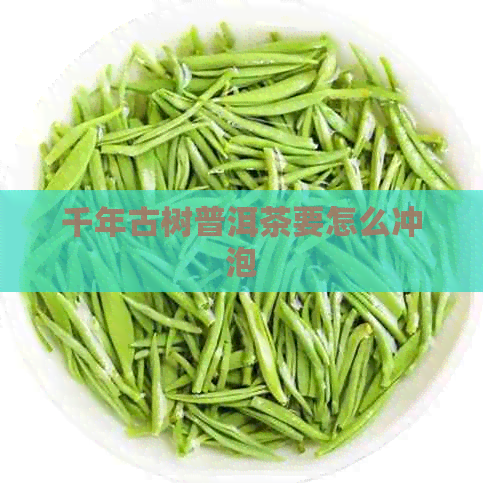 千年古树普洱茶要怎么冲泡