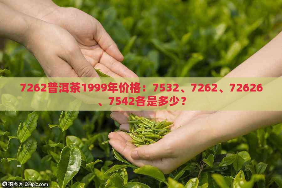 7262普洱茶1999年价格：7532、7262、72626、7542各是多少？