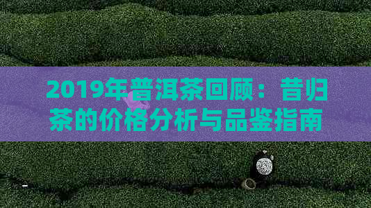 2019年普洱茶回顾：昔归茶的价格分析与品鉴指南