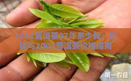 7262普洱茶07年多少钱：价钱与2007普洱茶价格指南