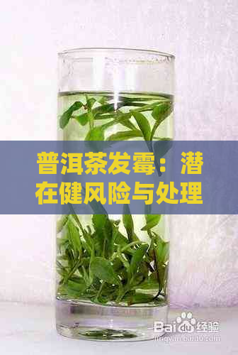 普洱茶发霉：潜在健风险与处理方式