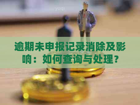 逾期未申报记录消除及影响：如何查询与处理？