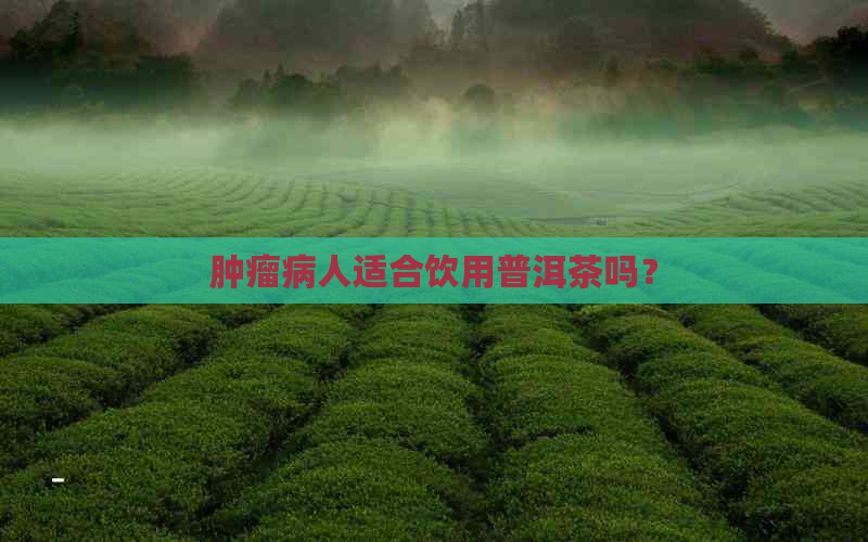 肿瘤病人适合饮用普洱茶吗？