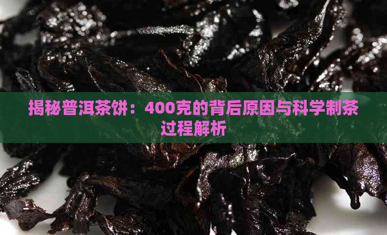 揭秘普洱茶饼：400克的背后原因与科学制茶过程解析