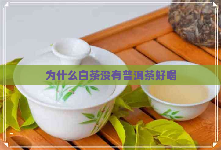 为什么白茶没有普洱茶好喝