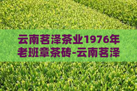 云南茗泽茶业1976年老班章茶砖-云南茗泽普洱茶厂