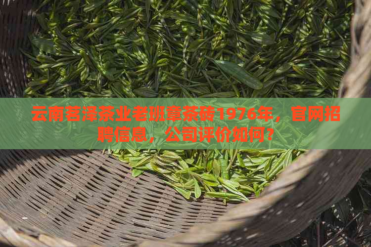 云南茗泽茶业老班章茶砖1976年，官网招聘信息，公司评价如何？