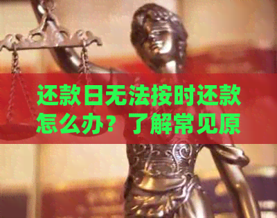 还款日无法按时还款怎么办？了解常见原因和解决办法