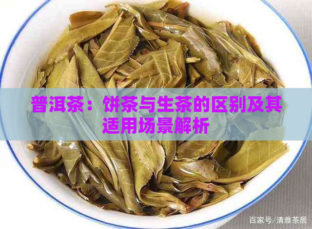 普洱茶：饼茶与生茶的区别及其适用场景解析