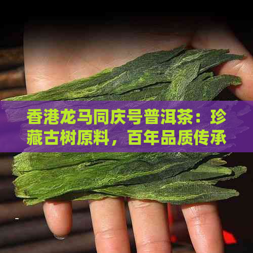 龙马同庆号普洱茶：珍藏古树原料，百年品质传承