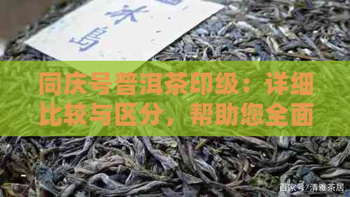 同庆号普洱茶印级：详细比较与区分，帮助您全面了解不同等级的产品特点