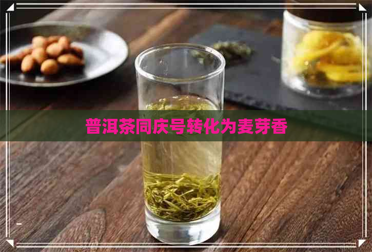 普洱茶同庆号转化为麦芽香