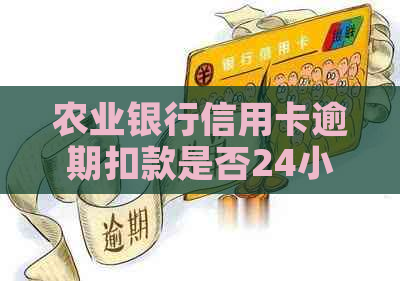 农业银行信用卡逾期扣款是否24小时内完成？真实情况解析