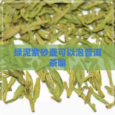 绿泥紫砂壶可以泡普洱茶嘛