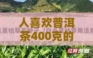 人喜欢普洱茶400克的茶吗-人喜欢普洱茶400克的茶吗为什么