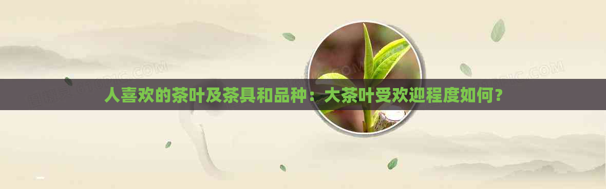 人喜欢的茶叶及茶具和品种：大茶叶受欢迎程度如何？