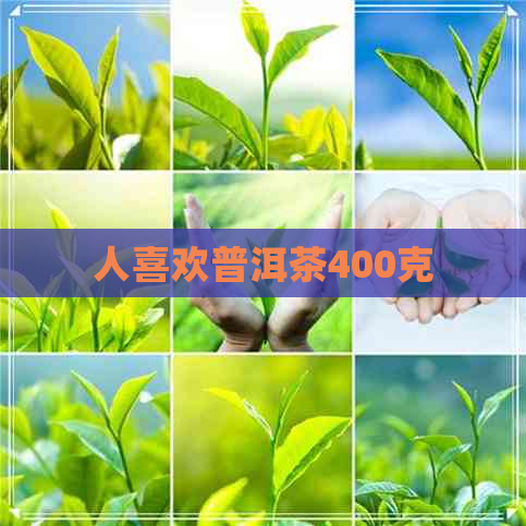 人喜欢普洱茶400克