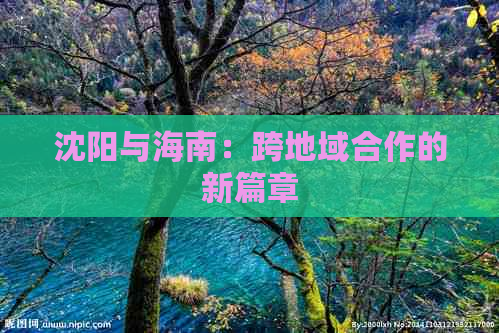 沈阳与海南：跨地域合作的新篇章