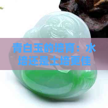 青白玉的培育：水培还是土培更佳？