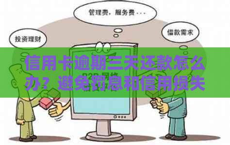 信用卡逾期三天还款怎么办？避免罚息和信用损失的有效策略