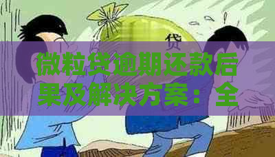 微粒贷逾期还款后果及解决方案：全额还款是否必要？