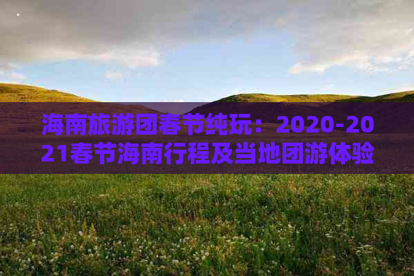 海南旅游团春节纯玩：2020-2021春节海南行程及当地团游体验