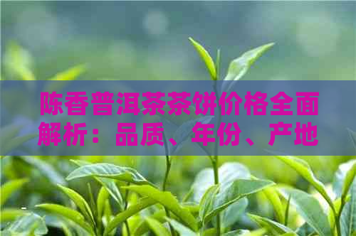 陈香普洱茶茶饼价格全面解析：品质、年份、产地等多方面因素影响售价