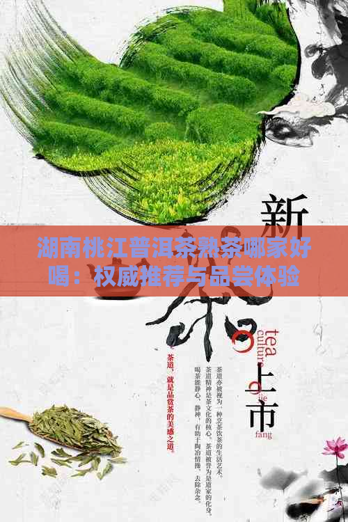 湖南桃江普洱茶熟茶哪家好喝：权威推荐与品尝体验