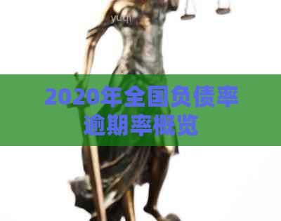 2020年全国负债率逾期率概览