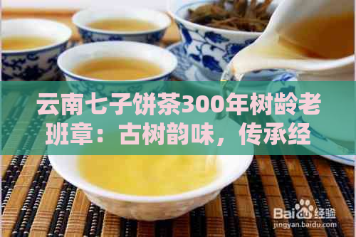 云南七子饼茶300年树龄老班章：古树韵味，传承经典，品味不凡