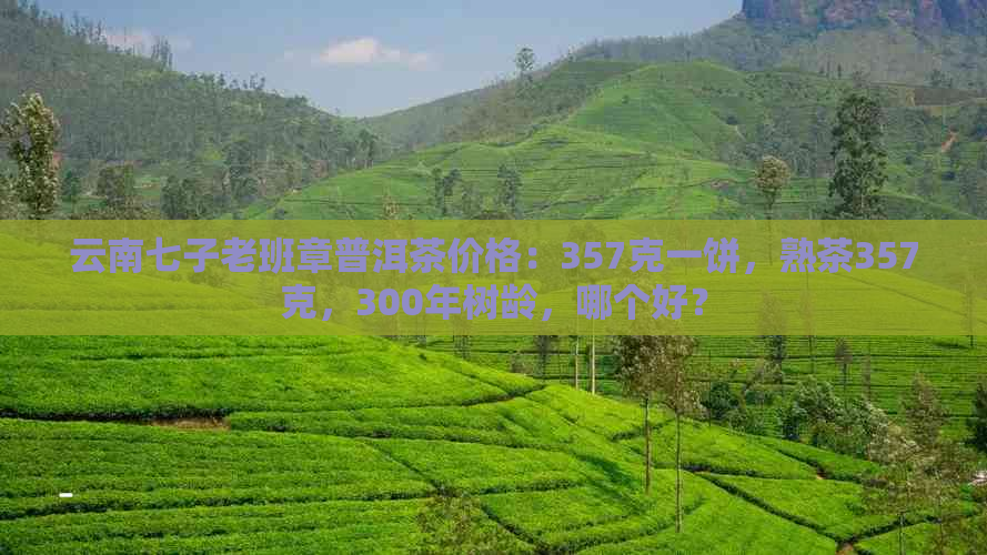 云南七子老班章普洱茶价格：357克一饼，熟茶357克，300年树龄，哪个好？