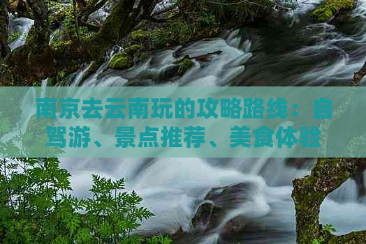 南京去云南玩的攻略路线：自驾游、景点推荐、美食体验