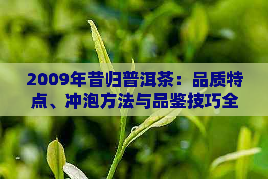 2009年昔归普洱茶：品质特点、冲泡方法与品鉴技巧全面解析