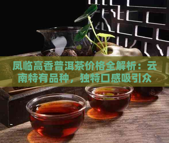 凤临高香普洱茶价格全解析：云南特有品种，独特口感吸引众多茶友追捧！