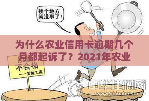 为什么农业信用卡逾期几个月都起诉了？2021年农业银行信用卡逾期新法规