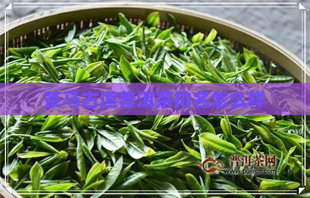 茶马古道普洱茶排名怎么样