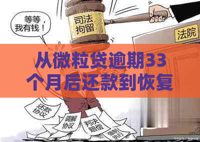 从微粒贷逾期33个月后还款到恢复正常状态的预计时间及相关流程解析