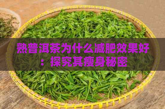 熟普洱茶为什么减肥效果好：探究其瘦身秘密