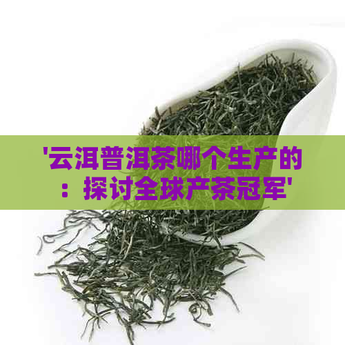 '云洱普洱茶哪个生产的：探讨全球产茶冠军'