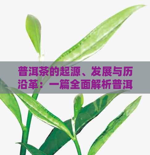 普洱茶的起源、发展与历沿革：一篇全面解析普洱茶发展历程的文章